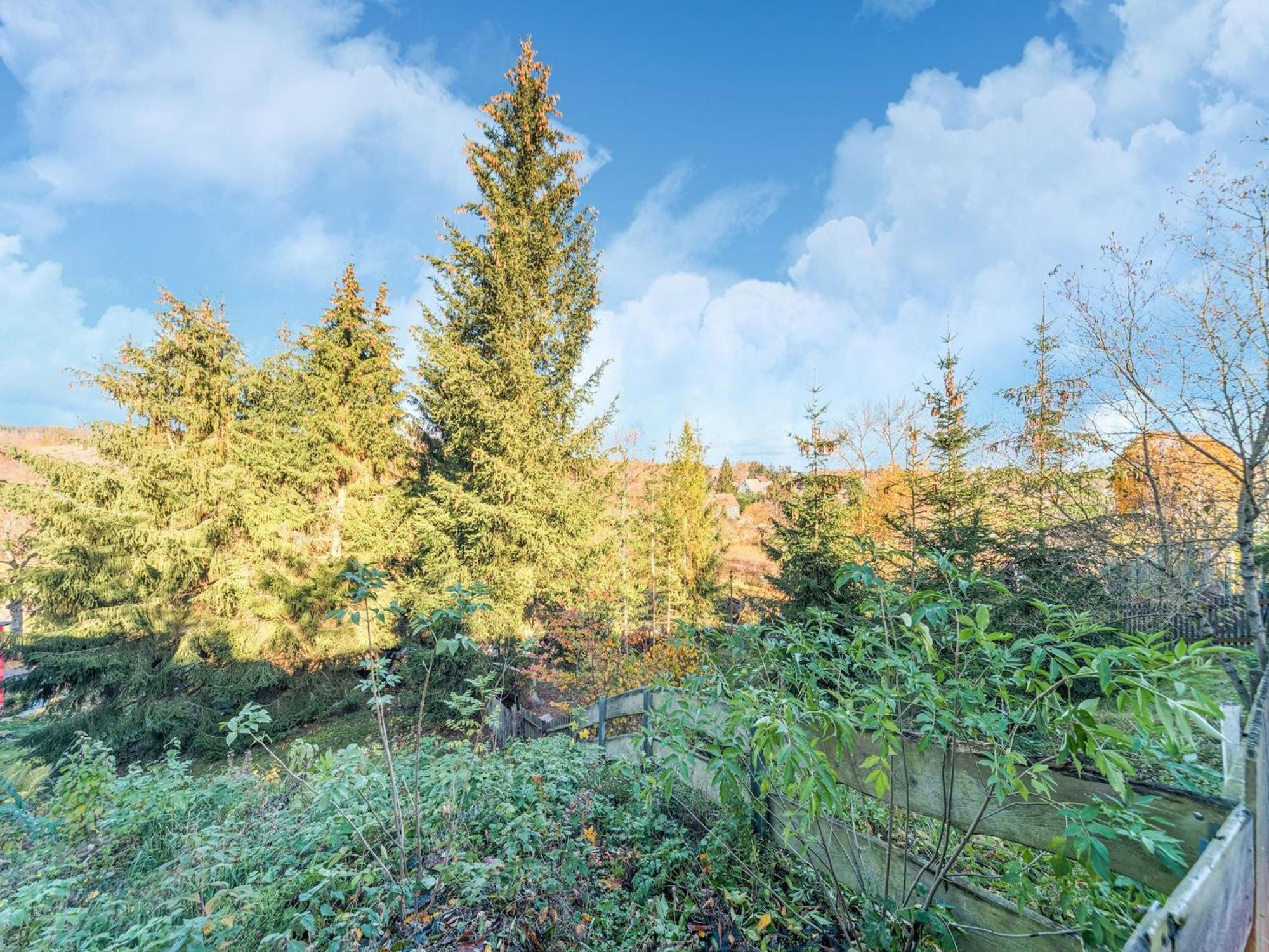 Comely Holiday Home In G Ntersberge Near Forest Guntersberge Luaran gambar